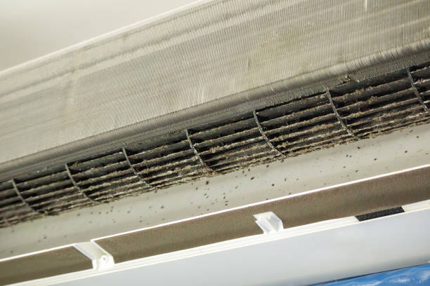 Best Local Air Duct Cleaning Services  in Shiremanstown, PA